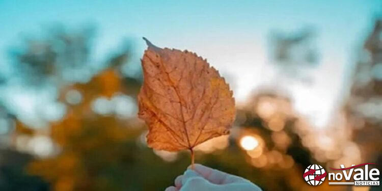 Frio chega ao Meio-Oeste de SC e Piratuba e Zortéa registram mínimas abaixo dos 11°C