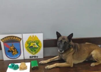 Mulher de Capinzal é denunciada por tráfico de drogas no Paraná