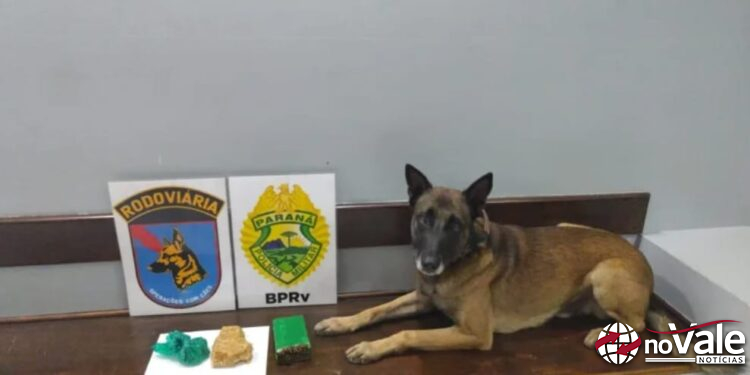 Mulher de Capinzal é denunciada por tráfico de drogas no Paraná