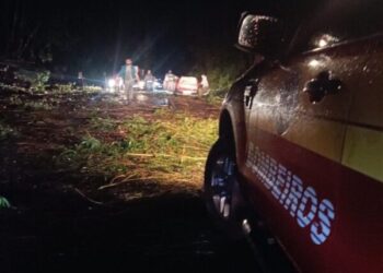 Bombeiros retiraram árvores caídas na SC-350 em Lebon Regis