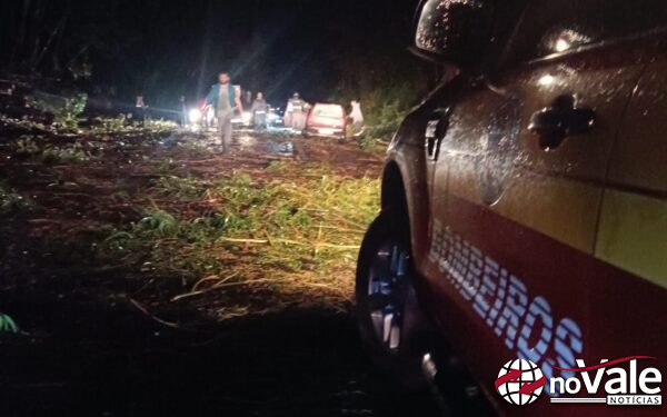 Bombeiros retiraram árvores caídas na SC-350 em Lebon Regis