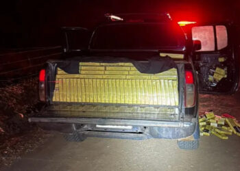 Trinta mil maços de cigarros são apreendidos em descanso