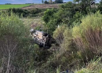 Enteados da filha do técnico Mano Menezes morrem em acidente no RS