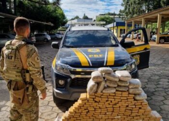 Mais de 660 kg de maconha apreendidos pela PRF em Santa Catarina