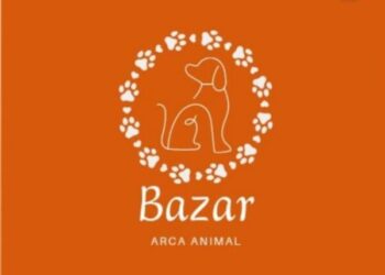 Projeto Arca Animal realiza bazar beneficente em Capinzal para arrecadar fundos