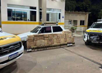 Ação conjunta resulta na apreensão de 67 caixas de vinho argentino