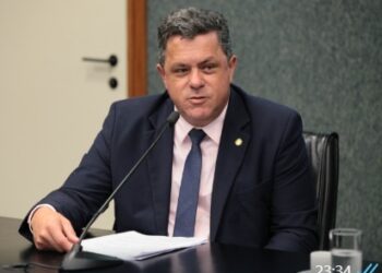 Sancionado projeto de Naatz com penas mais severas para maus–tratos de animais em SC