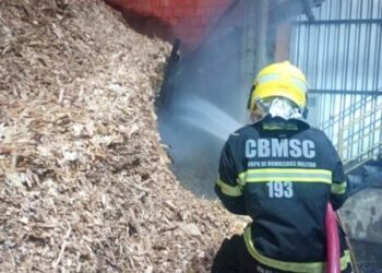 Bombeiros controlam incêndio em indústria de lâminas e compensados em Santa Cecília
