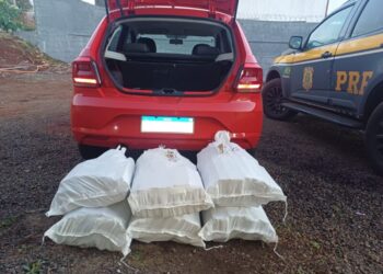 Casal é preso com 119 quilos de maconha em Nova Itaberaba