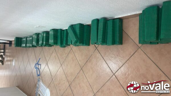 Preso com 160 quilos de maconha é colocado em liberdade em Concórdia