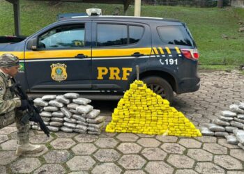 PRF apreende quase 200 quilos de drogas e recupera veículo roubado na BR-282 em Nova Itaberaba (Vídeo)