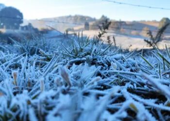 Temperaturas chegaram a -8 graus nesta terça-feira em SC