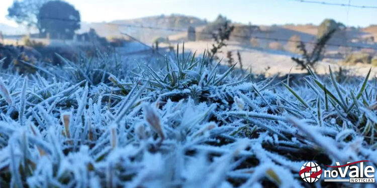 Temperaturas chegaram a -8 graus nesta terça-feira em SC