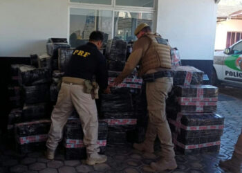 Operação conjunta apreende quase 4 toneladas de maconha no Norte de SC