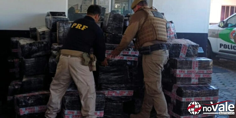 Operação conjunta apreende quase 4 toneladas de maconha no Norte de SC