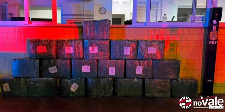 Ação conjunta PRF e PMRv apreende 330 quilos de maconha e recupera picape roubada na BR-153