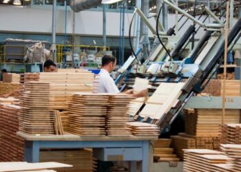 Santa Catarina é líder nacional em exportação de madeira e móveis