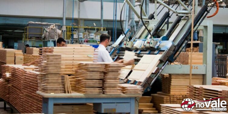 Santa Catarina é líder nacional em exportação de madeira e móveis
