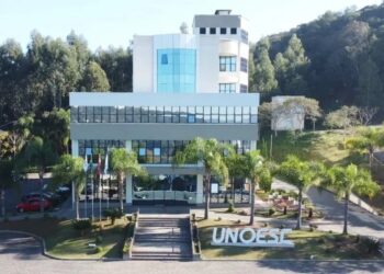 Pesquisa de professora da Unoesc alerta sobre o acúmulo de ferro no organismo