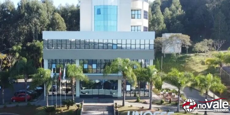 Pesquisa de professora da Unoesc alerta sobre o acúmulo de ferro no organismo