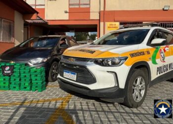 Operação conjunta apreende mais de 120 kg de maconha em Santa Catarina