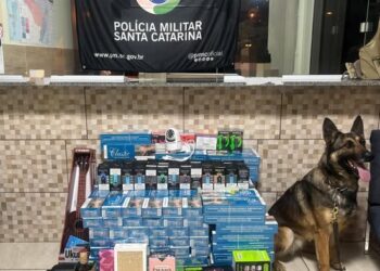 Polícia Rodoviária apreende carga de contrabando avaliada em R$ 26 mil