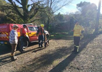 Cão farejador auxilia nas buscas por Emíliano Lopes, desaparecido no interior de Jaborá