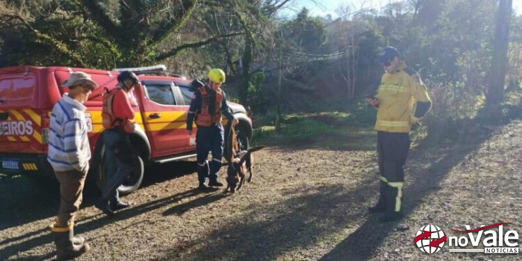 Cão farejador auxilia nas buscas por Emíliano Lopes, desaparecido no interior de Jaborá