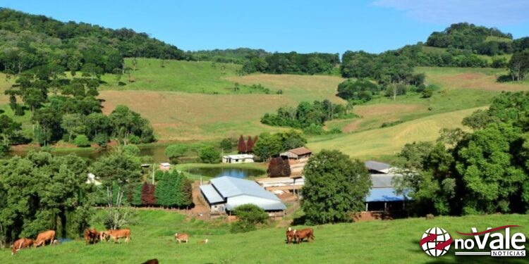 Projeto SC Rural 2 é enviado ao Senado e entra na última fase para ser implantado
