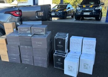 300 garrafas de vinho argentino são apreendidas na BR-153