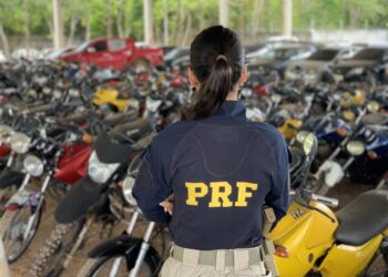 PRF promove leilão de mais de 2 mil veículos apreendidos ou abandonados em rodovias federais de SC