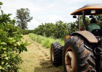 Câmara discute alterar lei de 1972 e encolher tamanho mínimo de imóvel rural