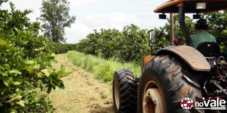 Câmara discute alterar lei de 1972 e encolher tamanho mínimo de imóvel rural