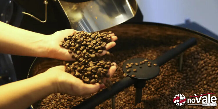 Preço do café cai pela primeira vez depois de 18 meses