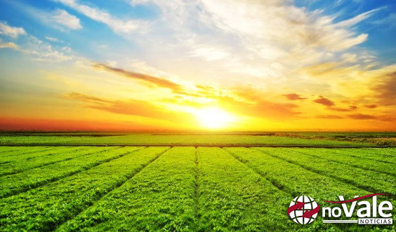 Projeto SC Rural 2 é aprovado no Senado e prevê investimentos de US$ 150 milhões em Santa Catarina
