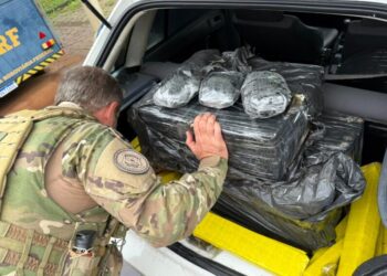 PRF intercepta 200 quilos de maconha e skunk na BR-282 em Chapecó