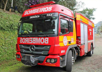 Bombeiros capturam cobra próximo à escola em Piratuba