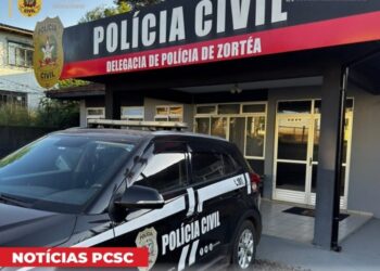 Polícia Civil de Zortéa prende homem por violência doméstica
