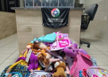 PMRv apreende carga de cigarros eletrônicos e mercadorias contrabandeadas em ônibus