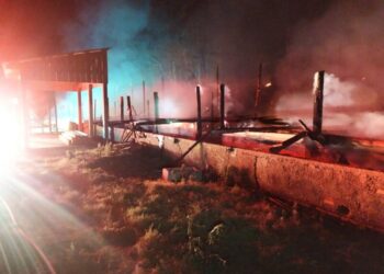 Incêndio destrói granja de suínos no interior de Ibicaré