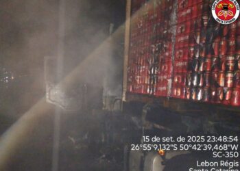 Caminhão carregado com carga de cerveja pega fogo às margens da SC-350
