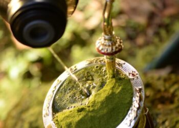 Zortéa celebra o Dia do Gaúcho com mateada neste domingo
