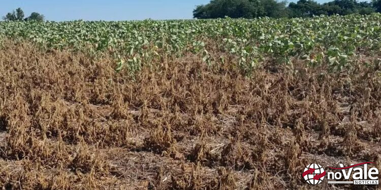 Governo abre crédito de R$ 12 bilhões para produtores rurais