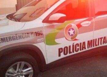 Pai e filho são presos por matar vizinho com golpes de faca no Oeste