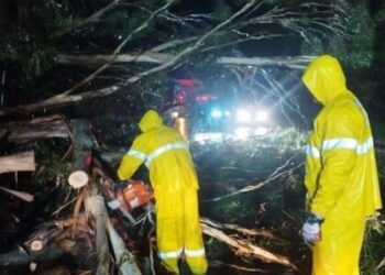 Temporal causa queda de árvores sobre veículo em Campos Novos