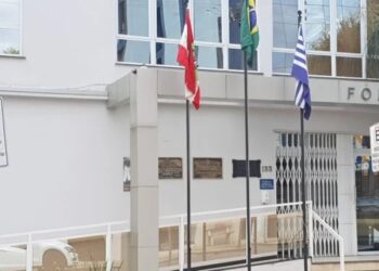 Jovem de 23 anos é condenada por maus-tratos a animais em Capinzal