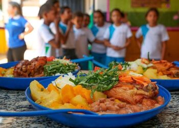 ONU reconhece Programa Nacional de Alimentação Escolar como referência mundial, mas desafios persistem