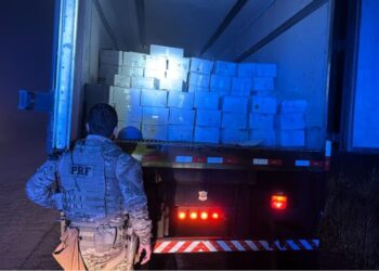 PRF apreende 8 toneladas de camarão contrabandeado na BR-153 em Água Doce