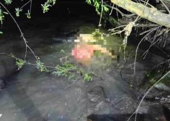 Corpo é encontrado boiando no Rio do Peixe em Videira
