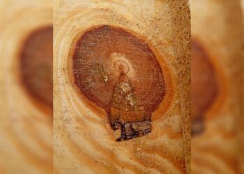 Imagem de Nossa Senhora Aparecida é encontrada dentro de pinus no Meio-Oeste de SC